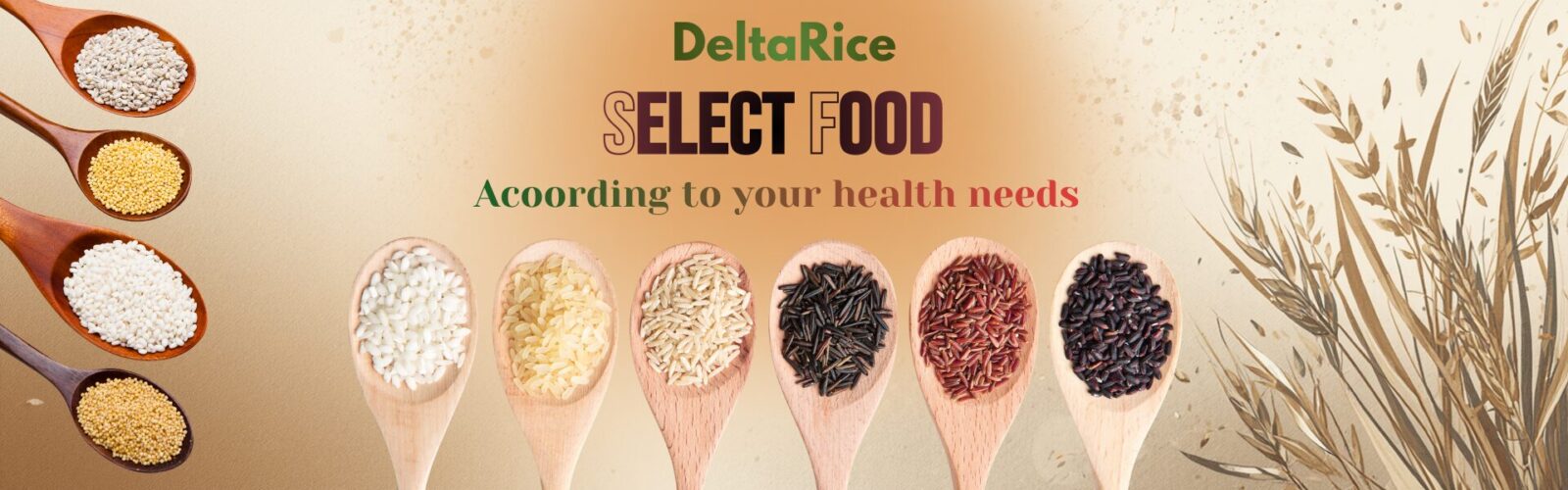 select your food according to your needs