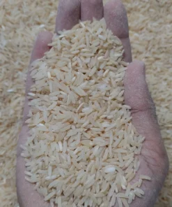 Indrani Rice