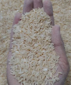 Indrani Rice