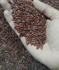 Poongar (Women Rice)